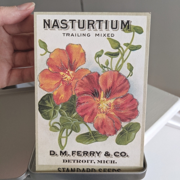 Floral Postcard Set - Cavallini and Co. - Picture 4 of 9